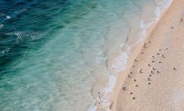 Microfiber handdoek versus katoenen handdoek, wat is beter?