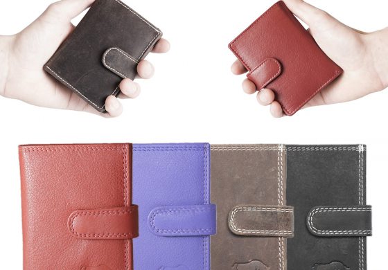 Pasjeshouder of miniportemonee?